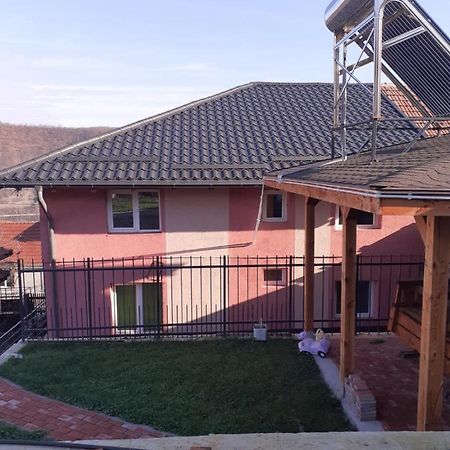 Casa Emilia Apartment Orşova Екстериор снимка
