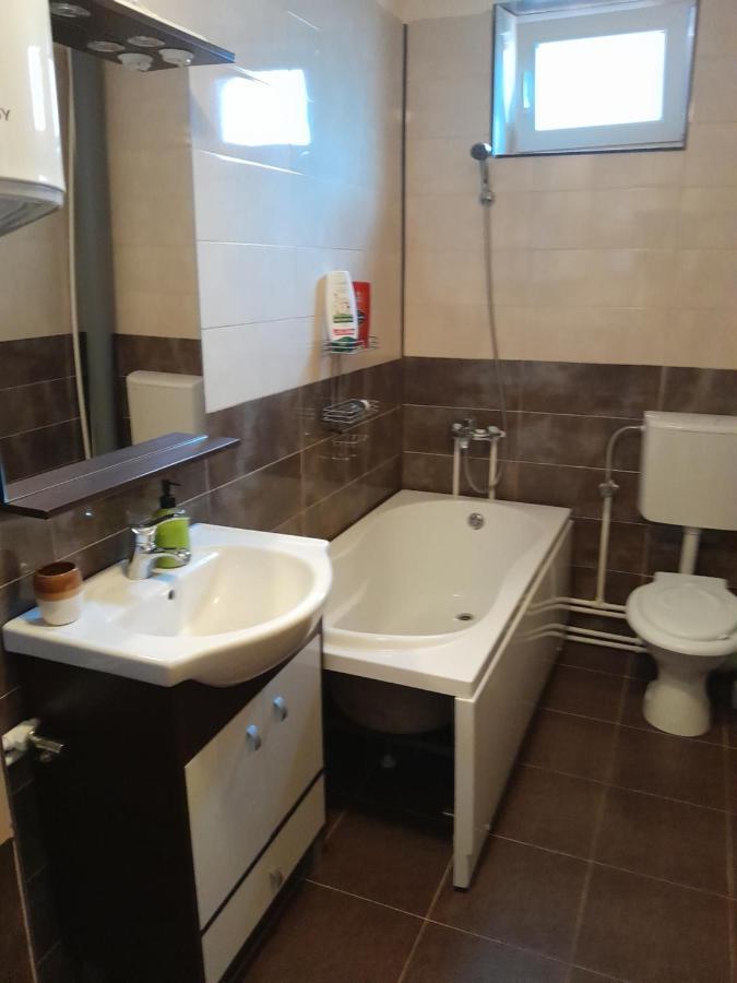 Casa Emilia Apartment Orşova Екстериор снимка