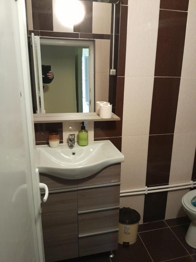 Casa Emilia Apartment Orşova Екстериор снимка