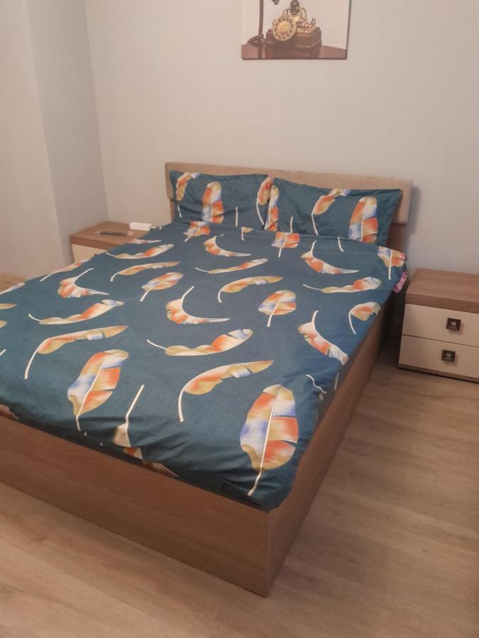 Casa Emilia Apartment Orşova Екстериор снимка