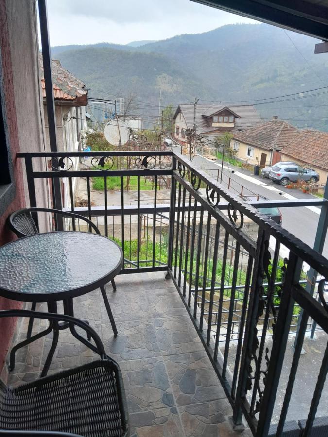 Casa Emilia Apartment Orşova Екстериор снимка