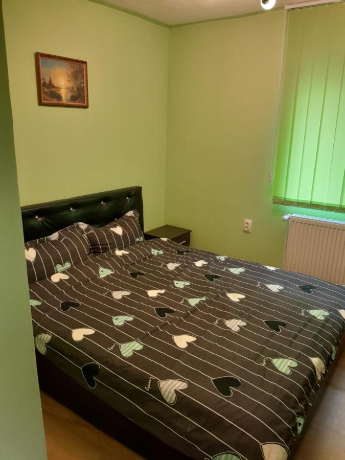 Casa Emilia Apartment Orşova Екстериор снимка